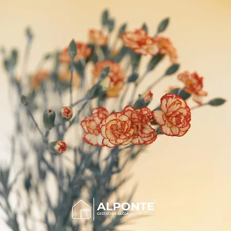 Casa Da Melanie קמיניה