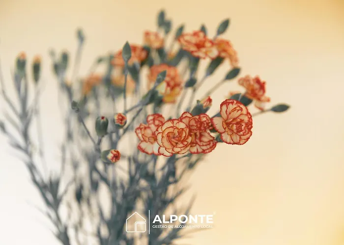 Casa Da Melanie كامينيا