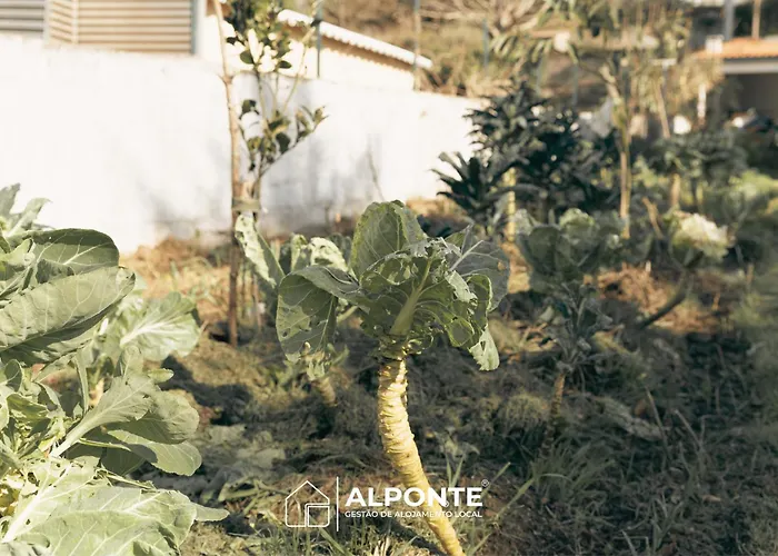 Casa Da Melanie كامينيا